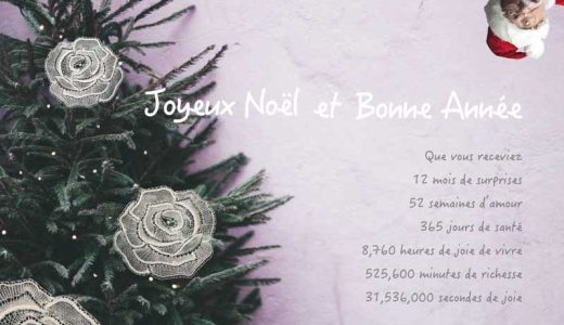 Joyeux Noël et Bonne Année